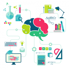 fonctionnement du cerveau