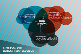 description et schématisation du bilan psychologique, fonctionnement intellectuel, fonctionnement cognitif et neuropsychologique, fonctionnement psycho-affectif